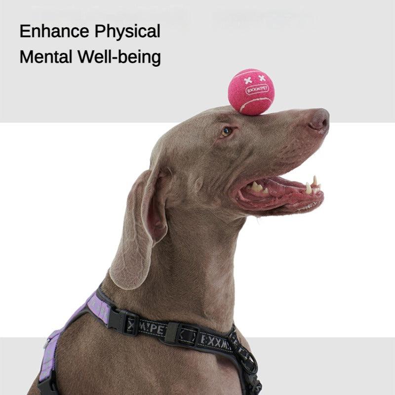 BXXM!PET® Bounce Squeak Chew Dog Toy - KIKOPALS