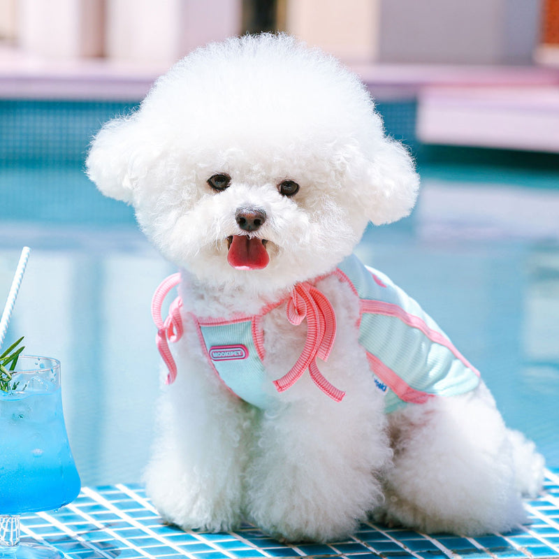 MookiPet® Breathable Mesh Vest for Dogs