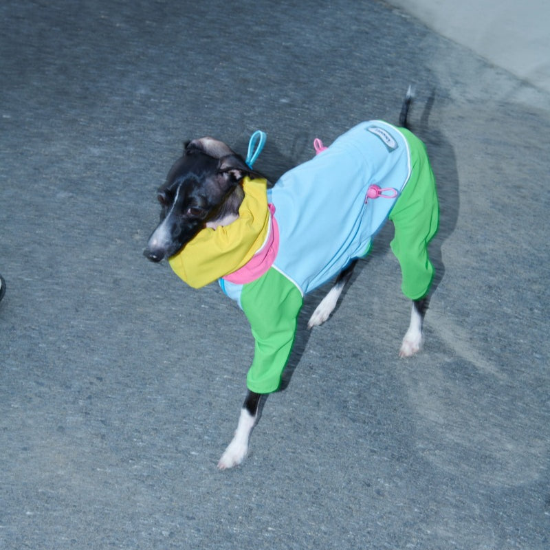 iiNeed® Waterproof Jacket Color-Block for Dogs