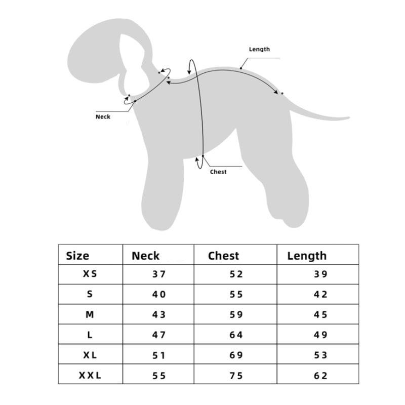 PUFFYCLOUD® Sportswear Casual Suit - KIKOPALS