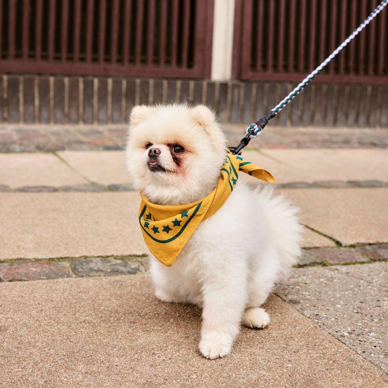 HAY® Colorful Pet Scarf - KIKOPALS