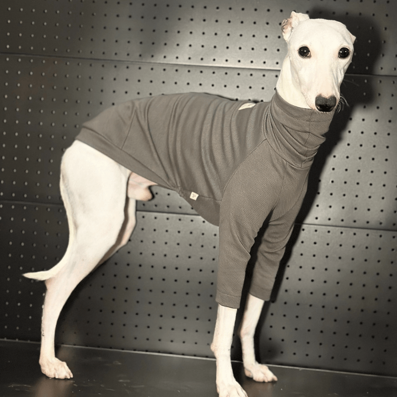 A HUNTING DOG® Dog Fitted T-shirt - KIKOPALS