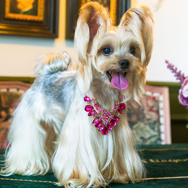 ARKIKA® Pearl Diamond Pet Collar Necklace