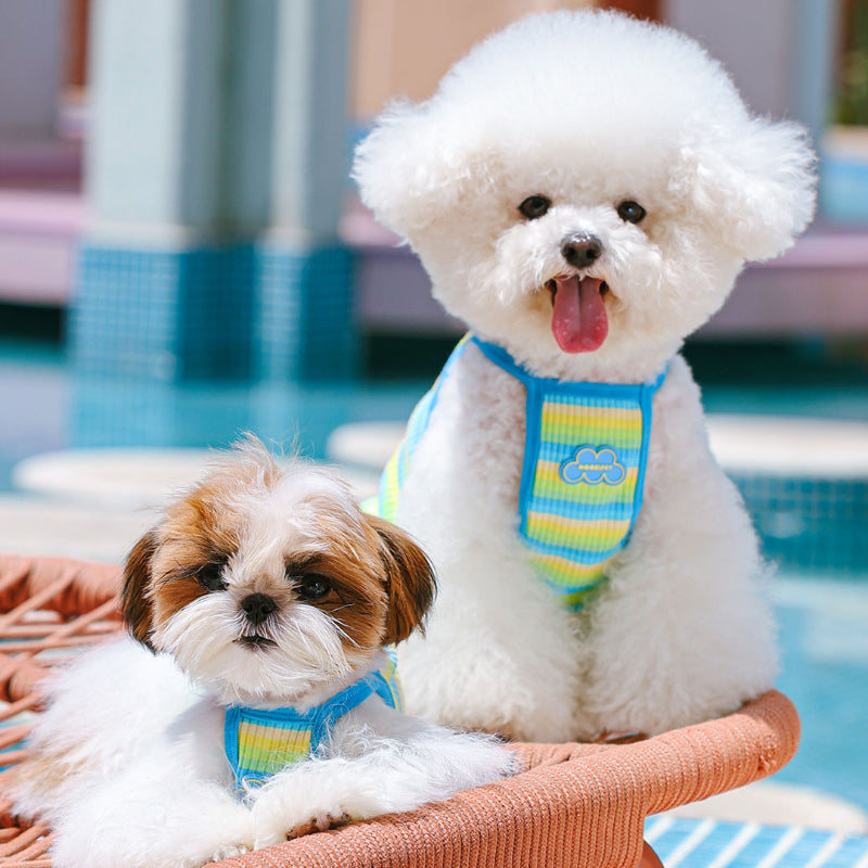 MookiPet® Cloud Striped Sling for Dogs – Blue & Yellow