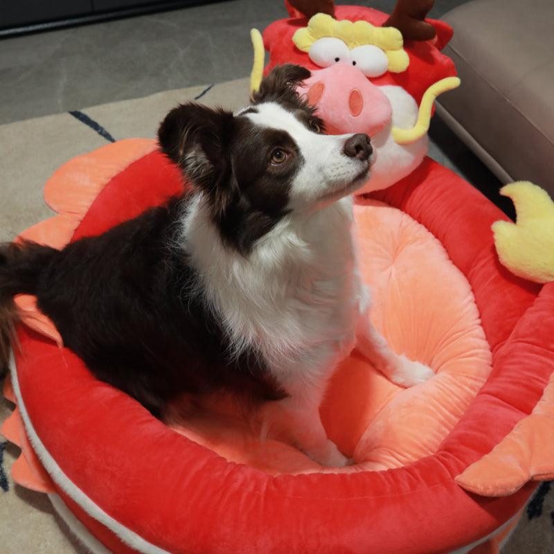 Big bibi® Dragon Pet Bed - KIKOPALS