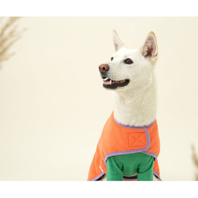 PuppyGallery® Modern Double-Sided Cloak for Dogs