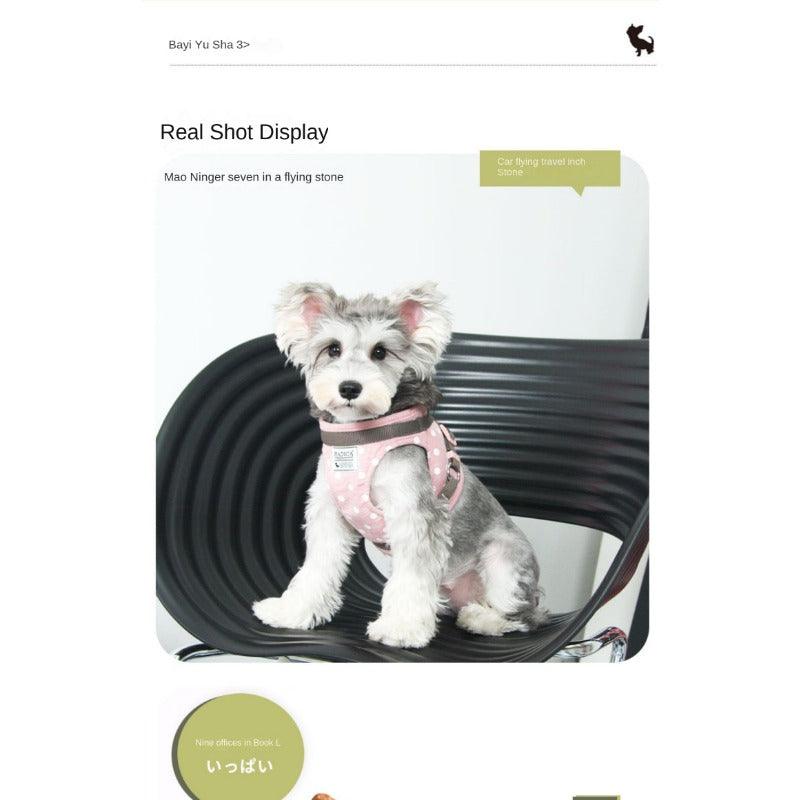 Radica® Plaid Harness & Leash Kit - KIKOPALS