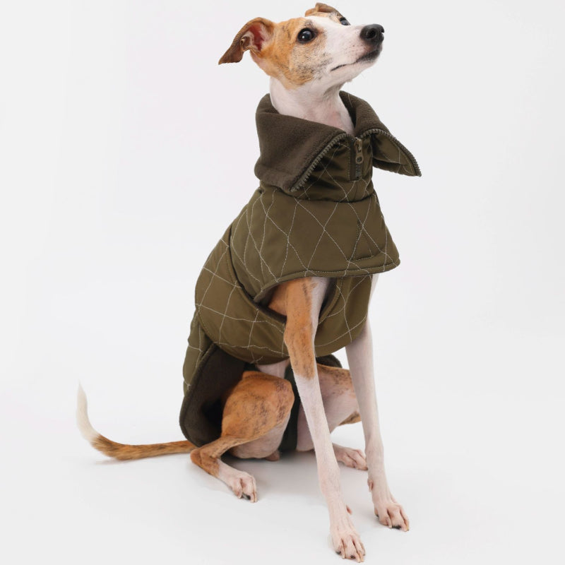 Nuoz® Waterproof Dog Jacket - Olive Green