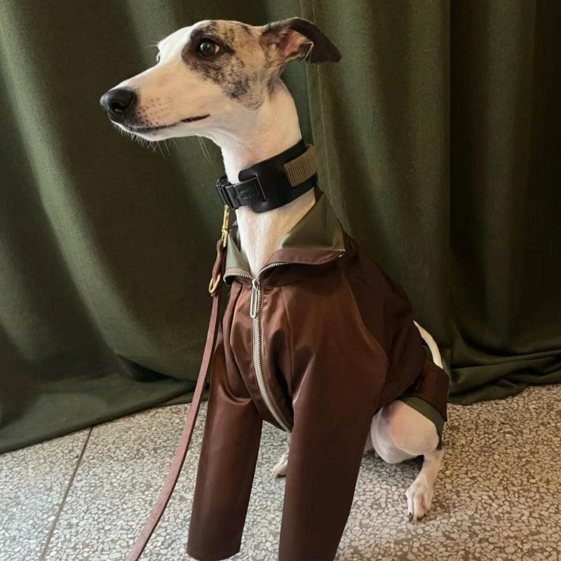 BBPRODUCTION® Windproof Dog Jacket with Leash Access - KIKOPALS