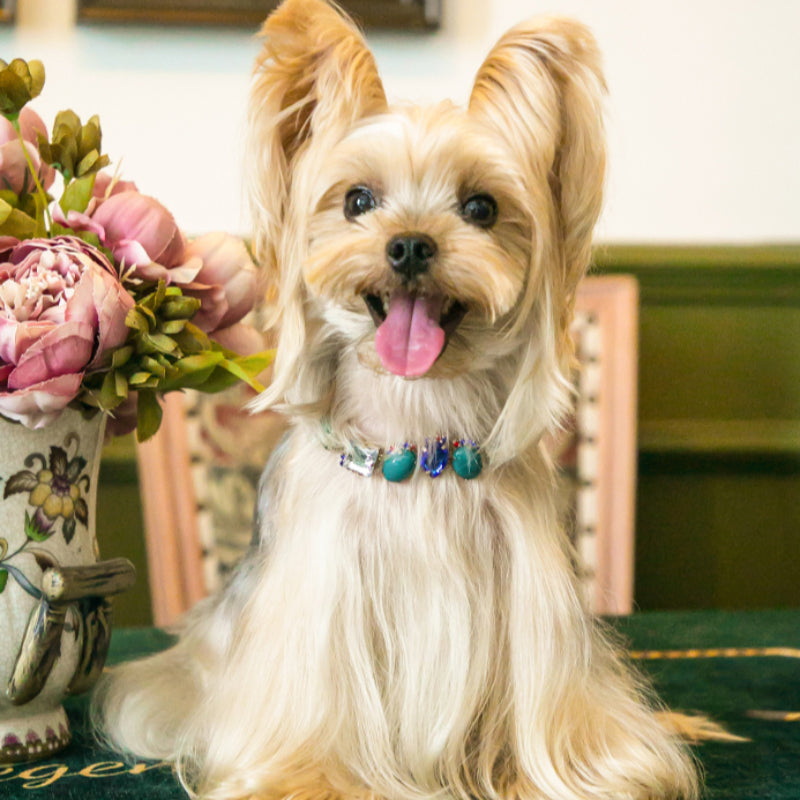 ARKIKA® Pearl Diamond Pet Collar Necklace