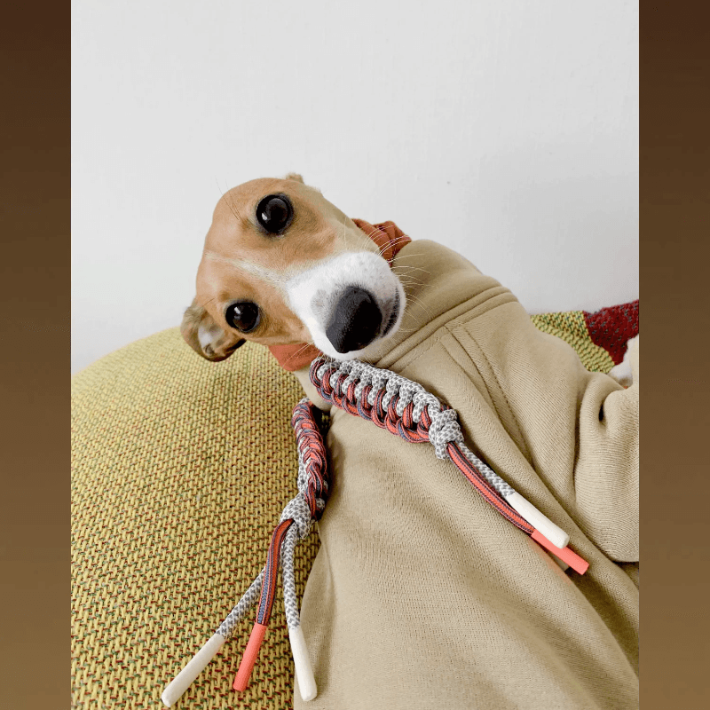 GASU® Flush Cotton Hoodie - KIKOPALS