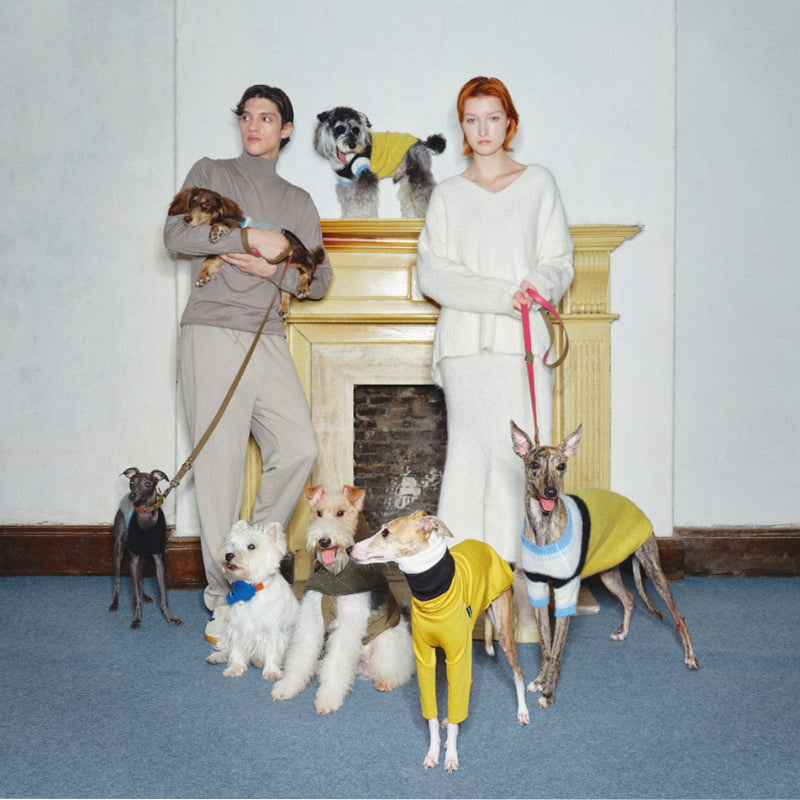 Nuoz® Gradient Color Block Sleeveless Knit Vest for Dogs