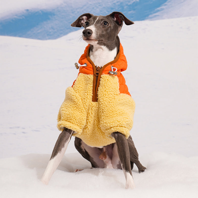 ZEZE® Windproof Pet Jacket for Small Dogs