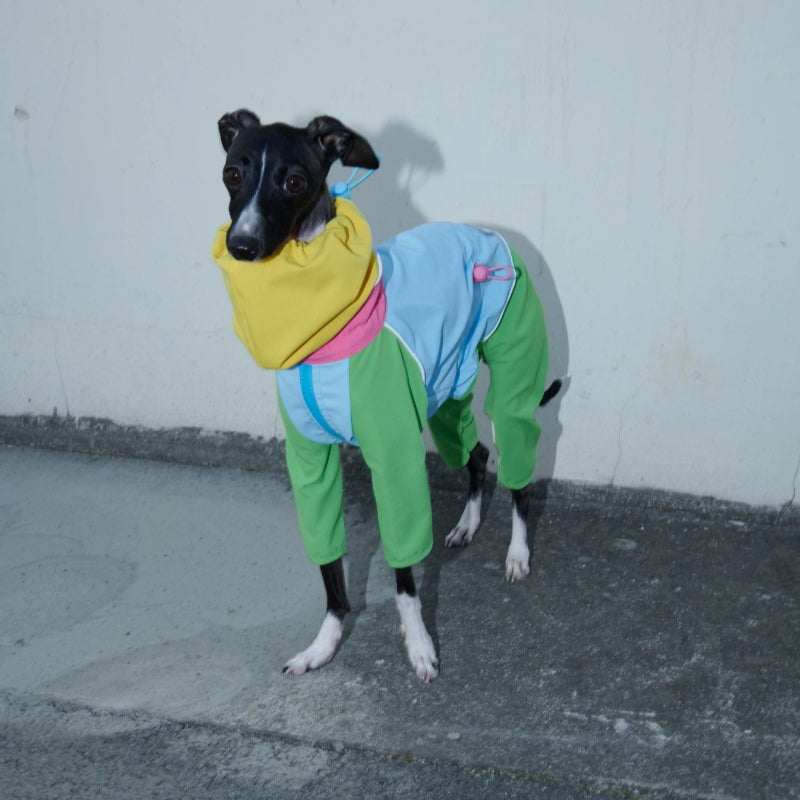 iiNeed® Waterproof Jacket Color-Block for Dogs