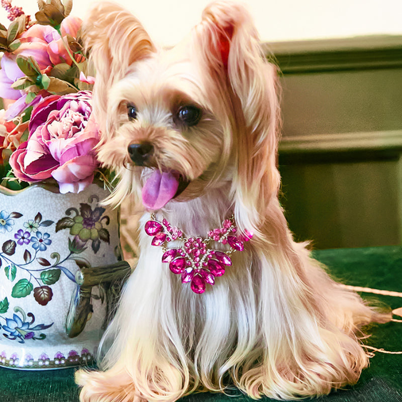 ARKIKA® Pearl Diamond Pet Collar Necklace