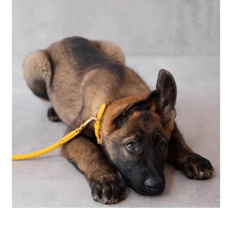 Minly® Leather Dog Collar & Leash Set - KIKOPALS