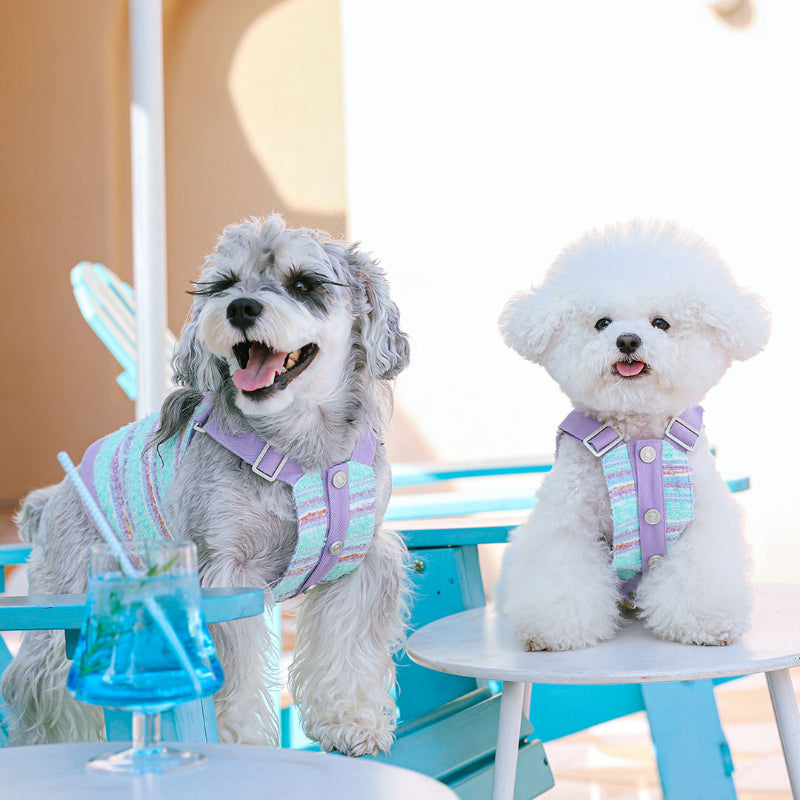 MookiPet® Colorful Striped Dog Vest