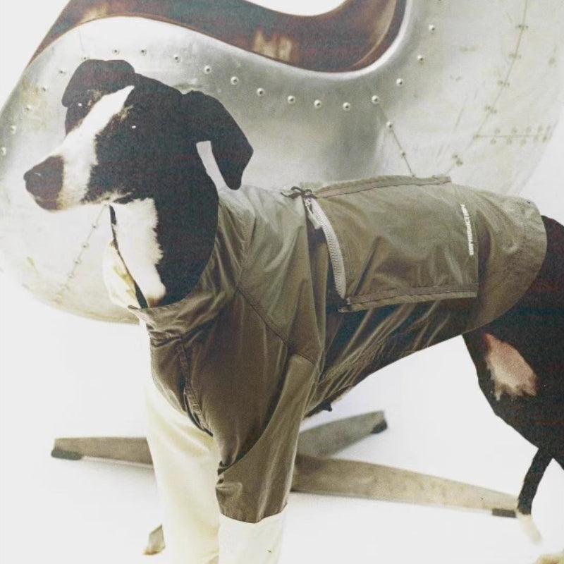 BBPRODUCTION® Colorblock Waterproof Dog Raincoat - KIKOPALS