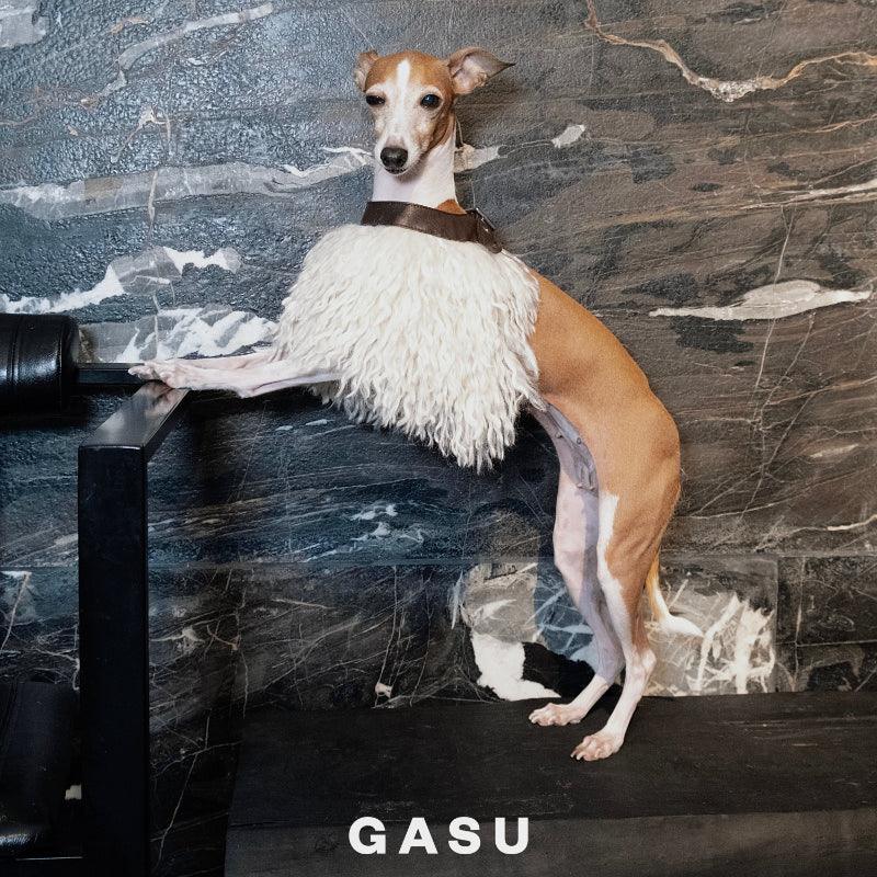 GASU® Leather Dog Cape - KIKOPALS