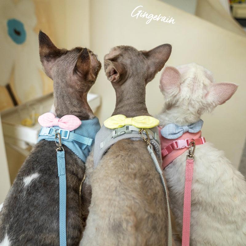 GINGERAIN® Cat Harness & Leash Set - KIKOPALS