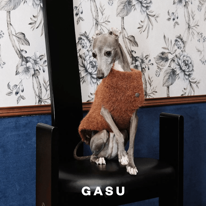 GASU®Vest for Dog - KIKOPALS