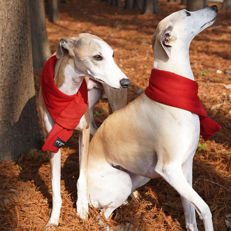 Hound Co. ® Bright Red Pet Scarf - KIKOPALS
