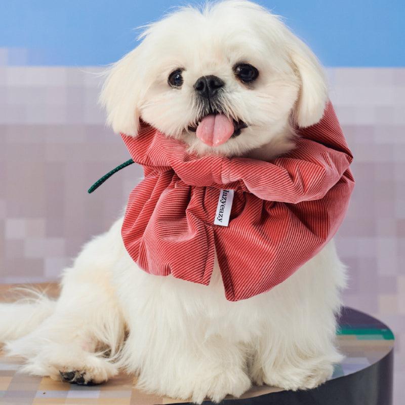 LazyEazy® Soft Pet Elizabeth Collar - KIKOPALS