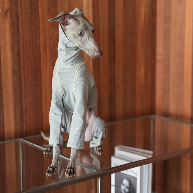 egge® Cotton Stretchy Base Layer for Dogs