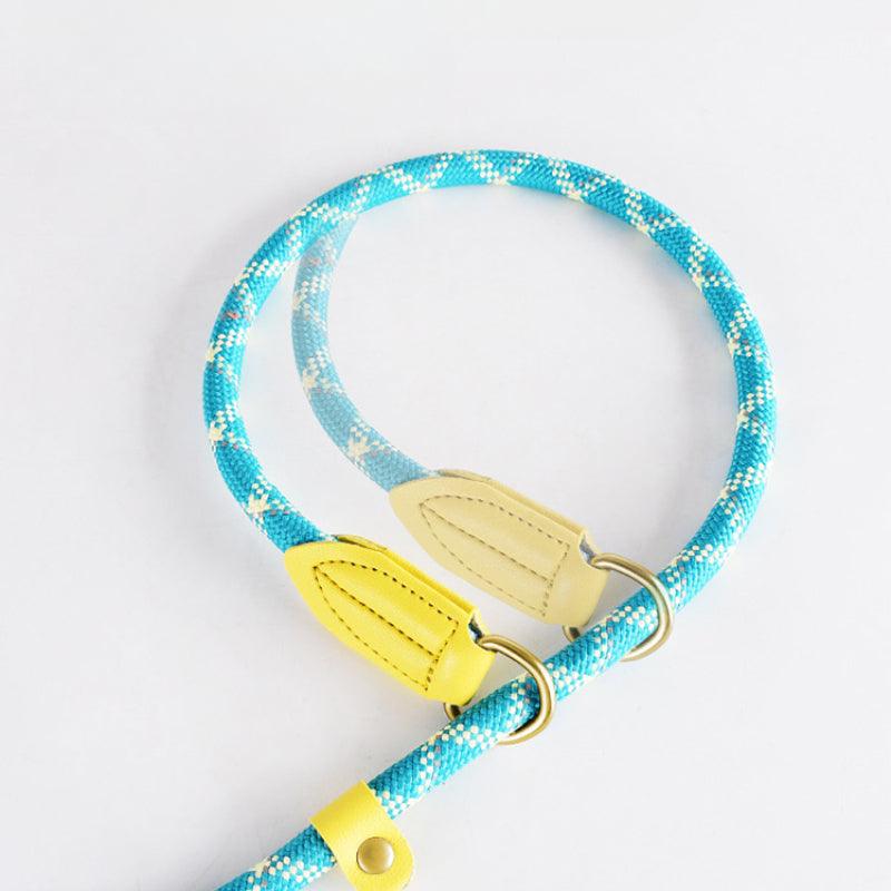 Minly® P-Chain Dog Training Leash - KIKOPALS