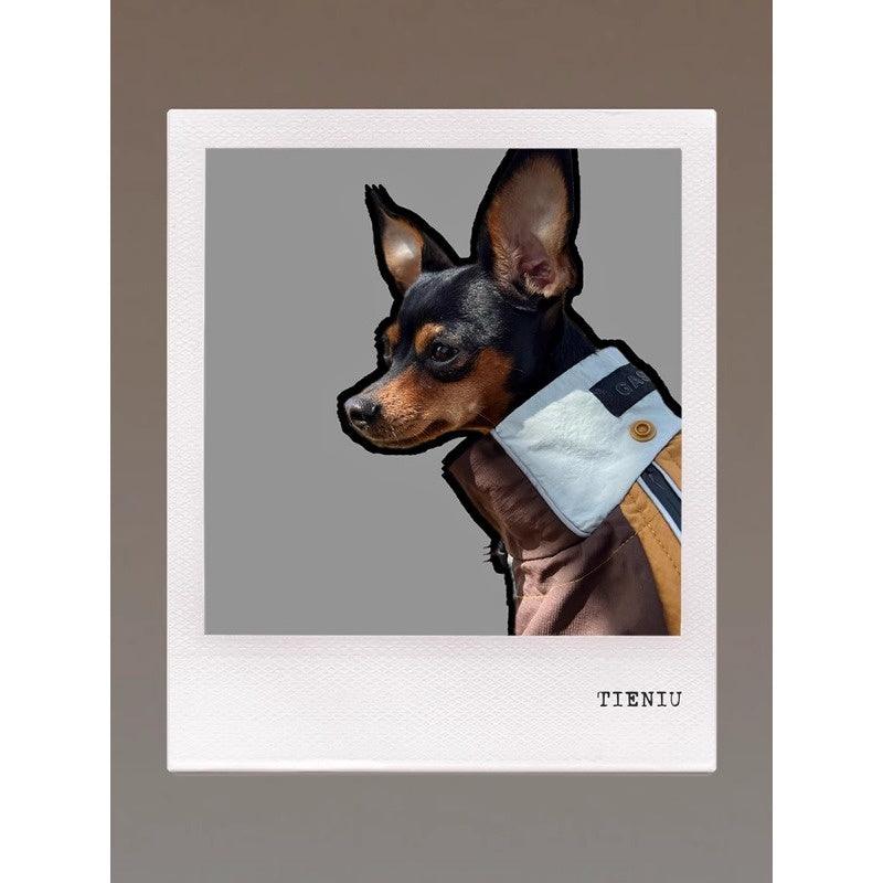 GASU® Waterproof Detachable Whippet Raincoat - KIKOPALS