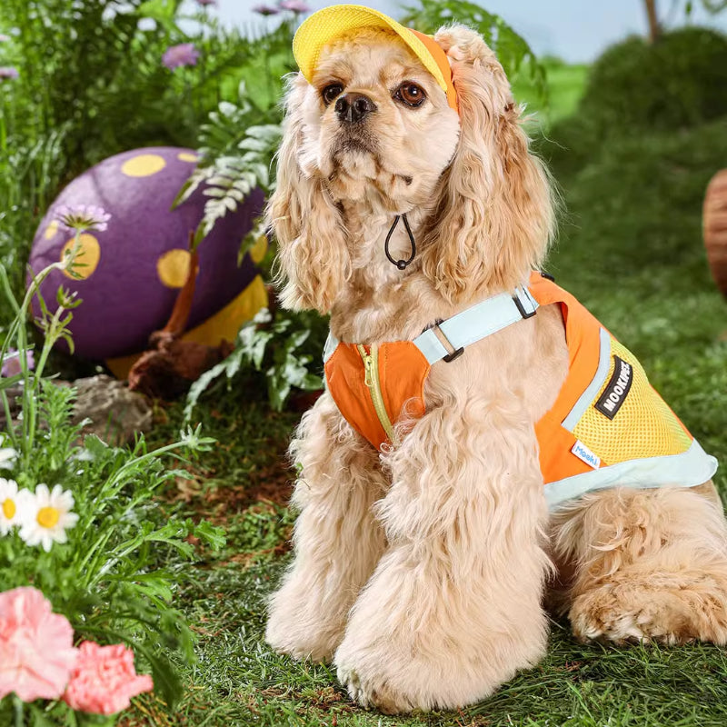 MookiPet® Vibrant Orange Outdoor Vest & Hat for Dogs