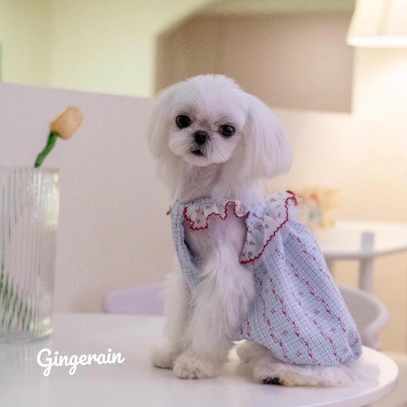 GINGERAIN® Blue Lace Ruffle Sleeve Dog Dress - KIKOPALS