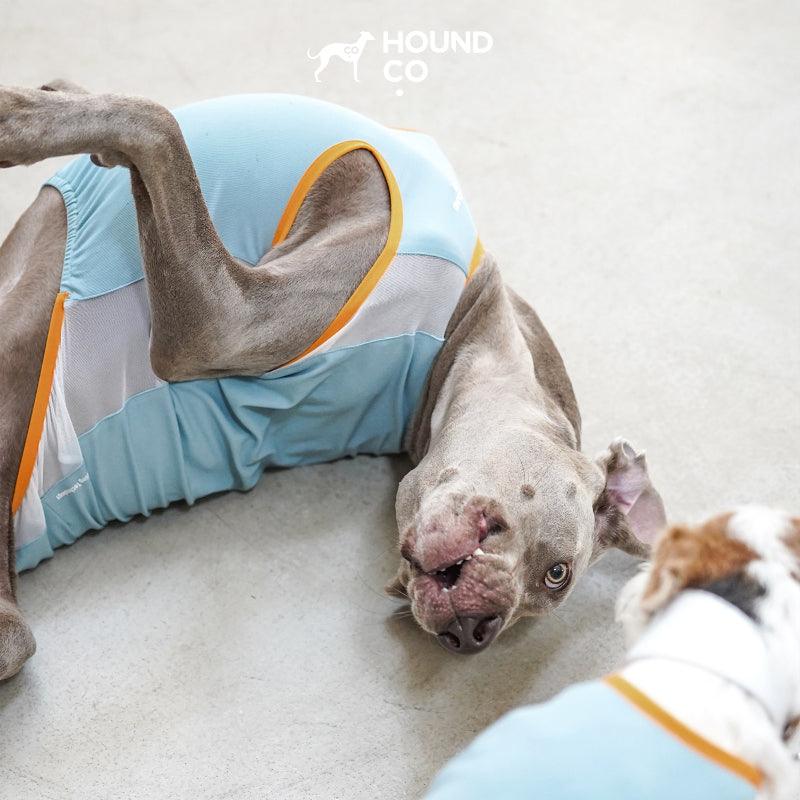 Hound Co.® Lightweight Cooling Vest for Pets - KIKOPALS