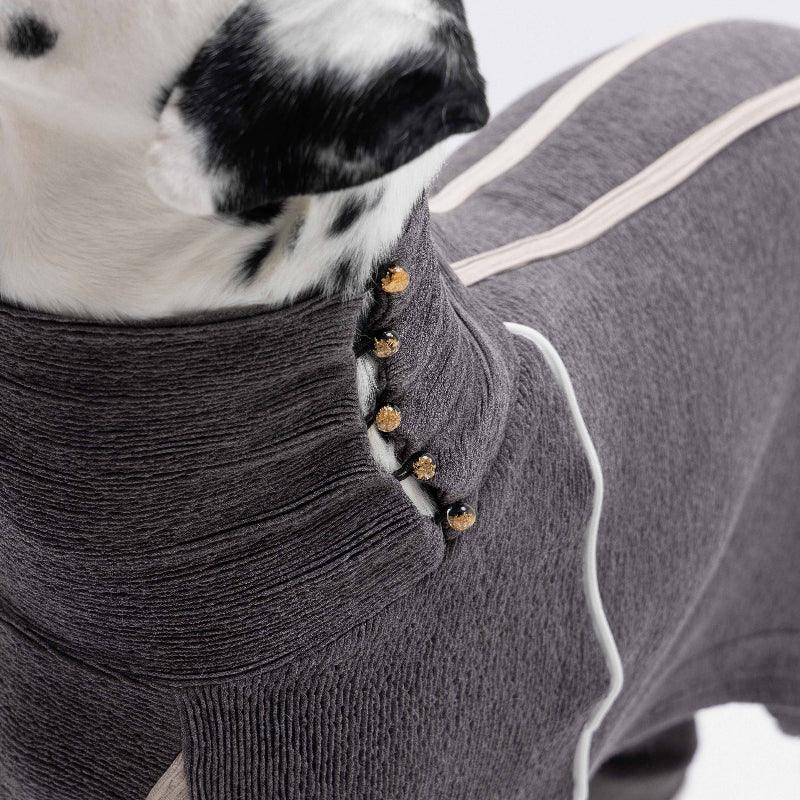 TAORAE® Four-legged Pants Dog Shirt - KIKOPALS