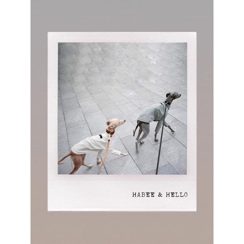 GASU® Soft Italian Leather Pet Collar - KIKOPALS