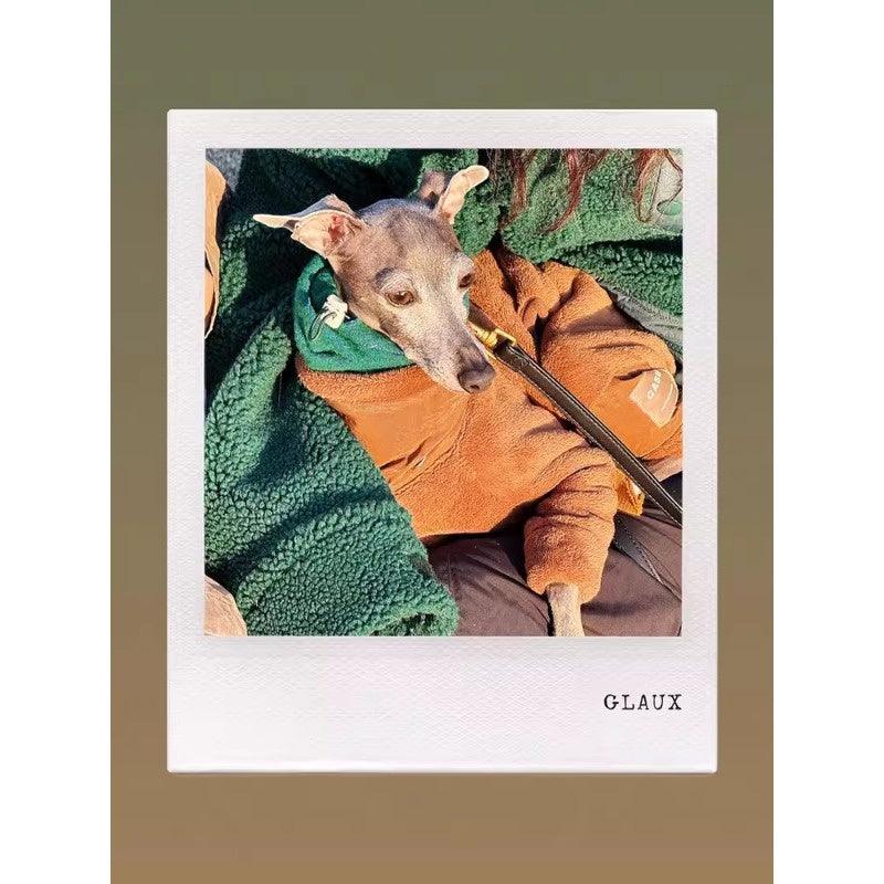 GASU® Woolen Pet Snood - KIKOPALS