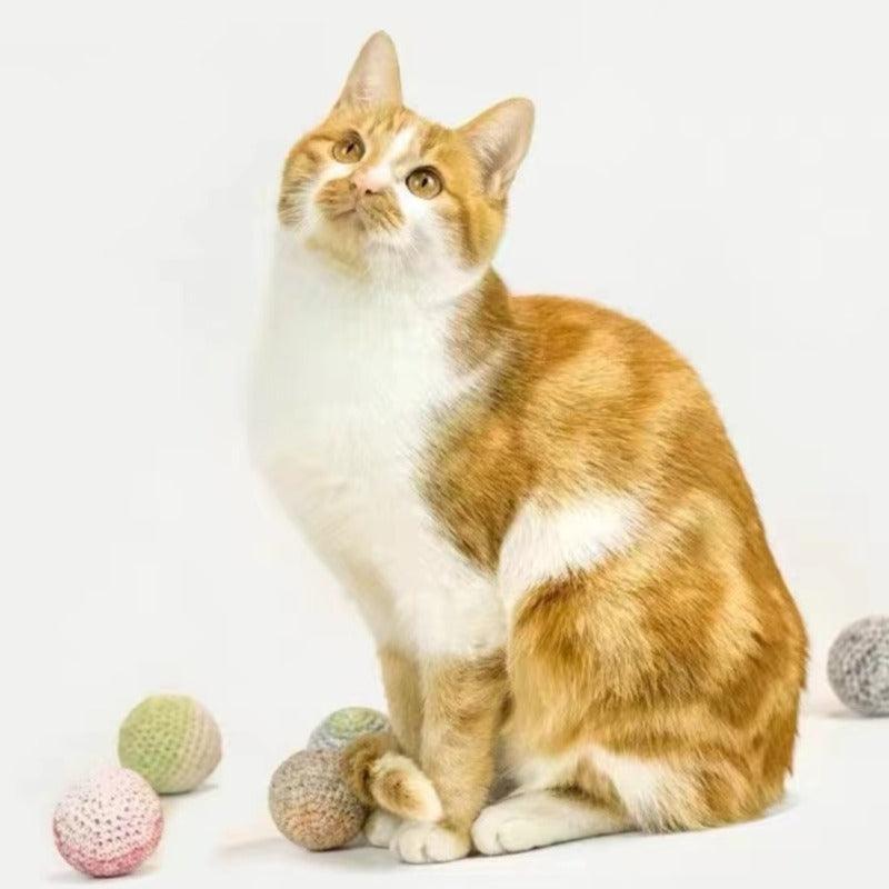 MEOWCARD® Colorful Fluffy Ball Cat Toy - KIKOPALS