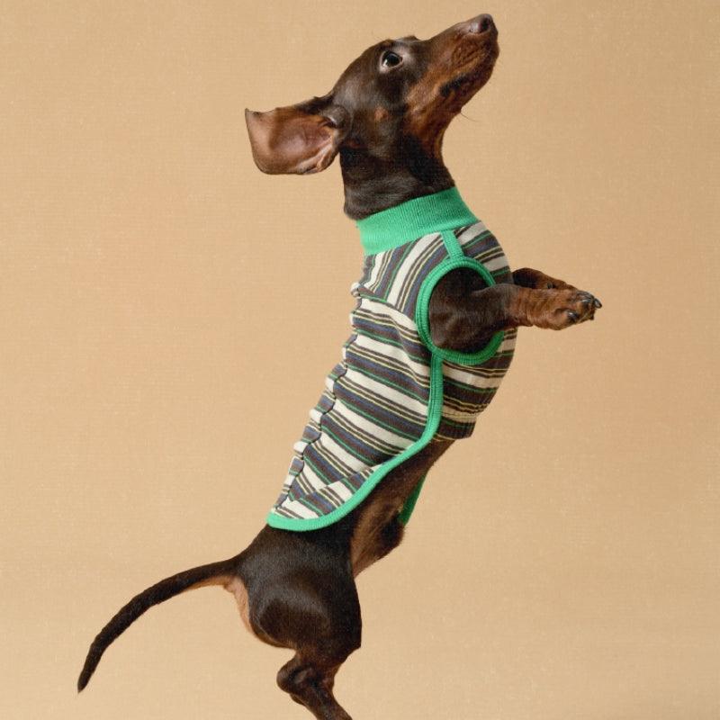 LazyEazy® Striped Dog Vest - KIKOPALS