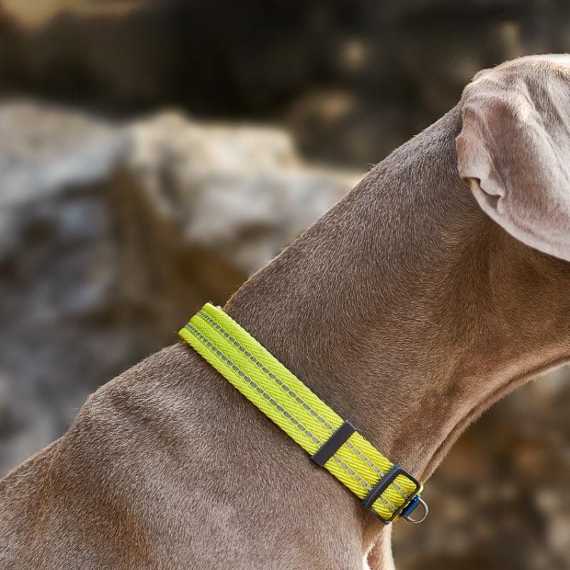 KITTY YOYO® Patus Green Dog Collar - KIKOPALS