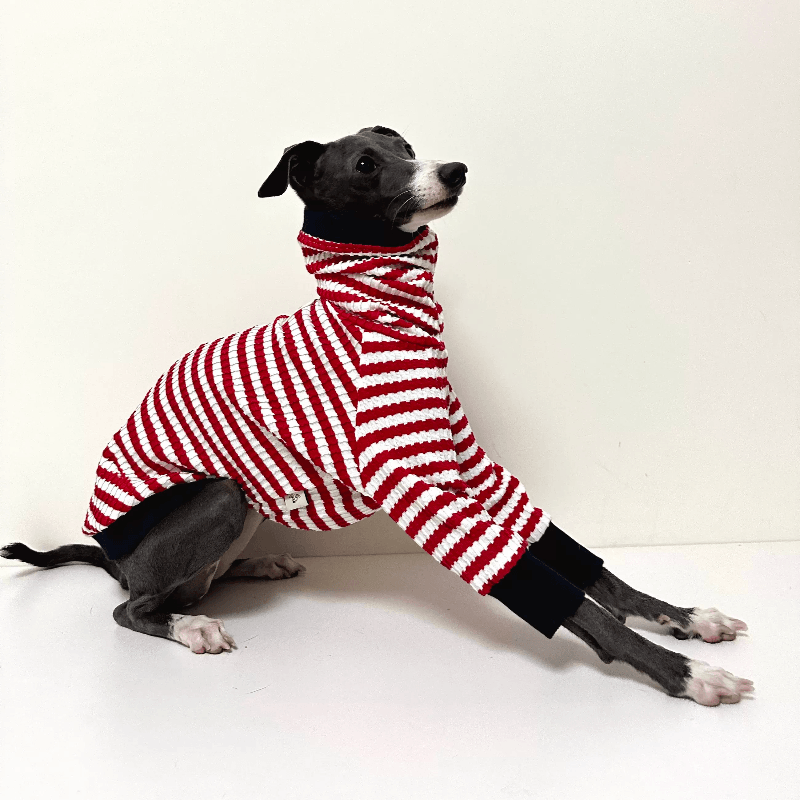 A HUNTING DOG® Dog Red&White Striped T-shirt - KIKOPALS