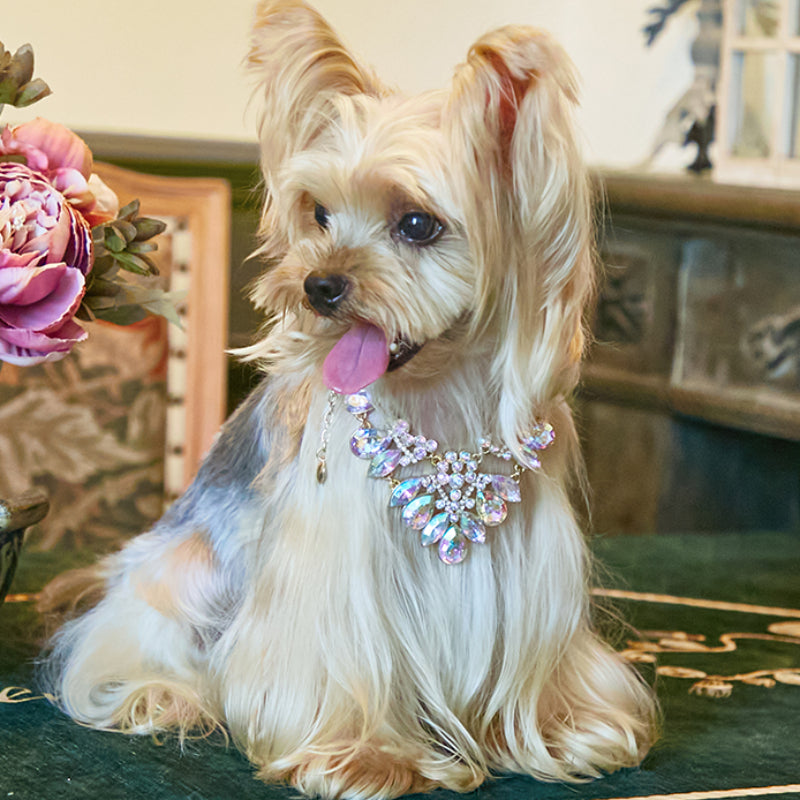 ARKIKA® Pearl Diamond Pet Collar Necklace
