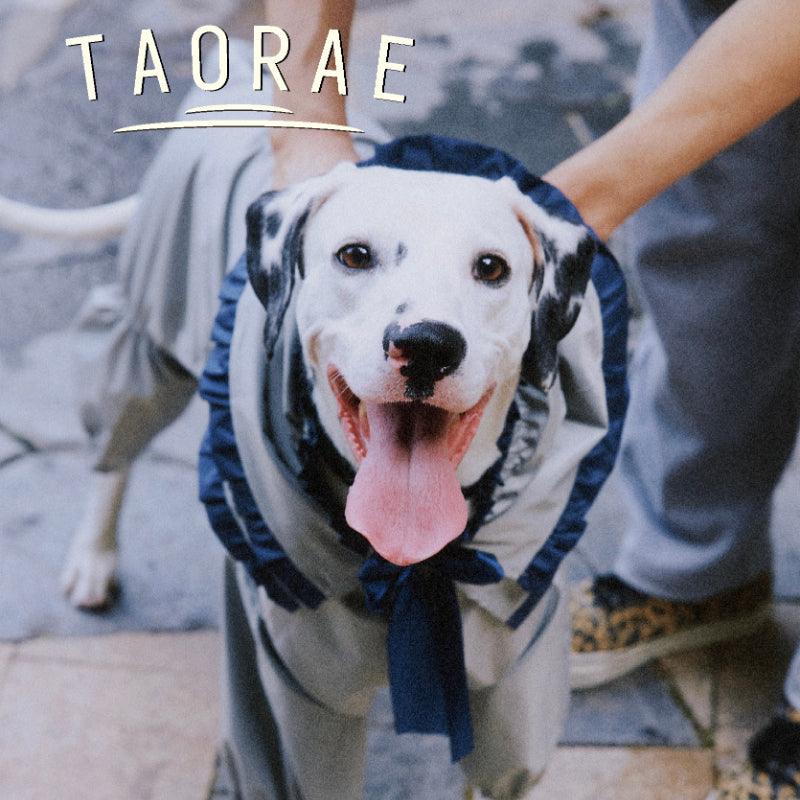 TAORAE® All-Weather Dog Raincoat - KIKOPALS