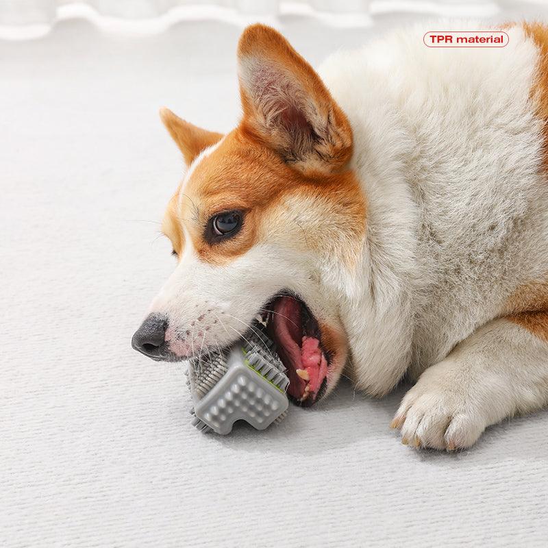 petstar® Pet Biting Toy - KIKOPALS