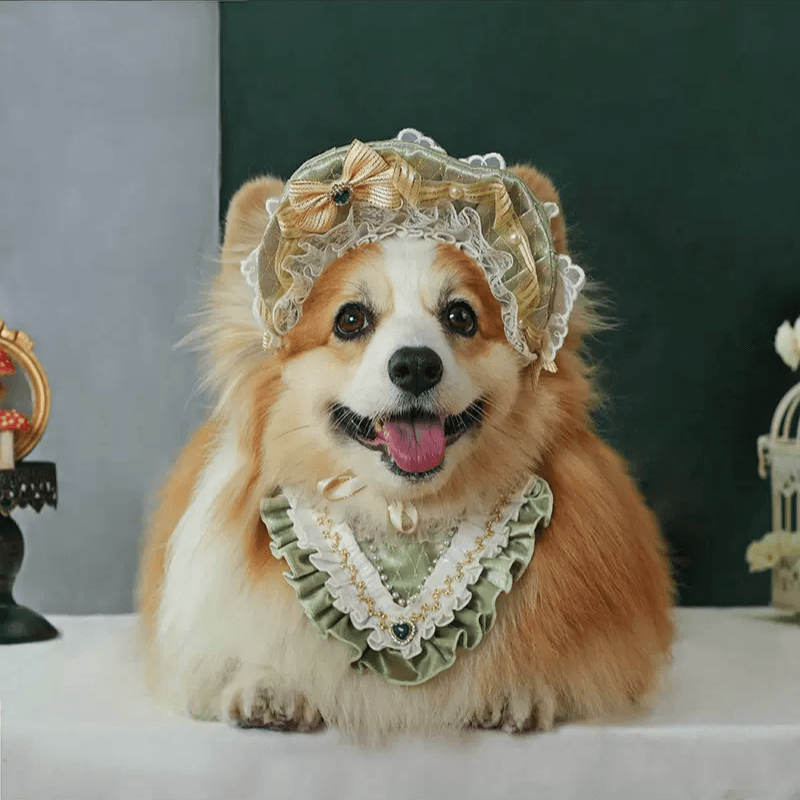 BITEONE® Lolita Elegant Pet Bib - KIKOPALS