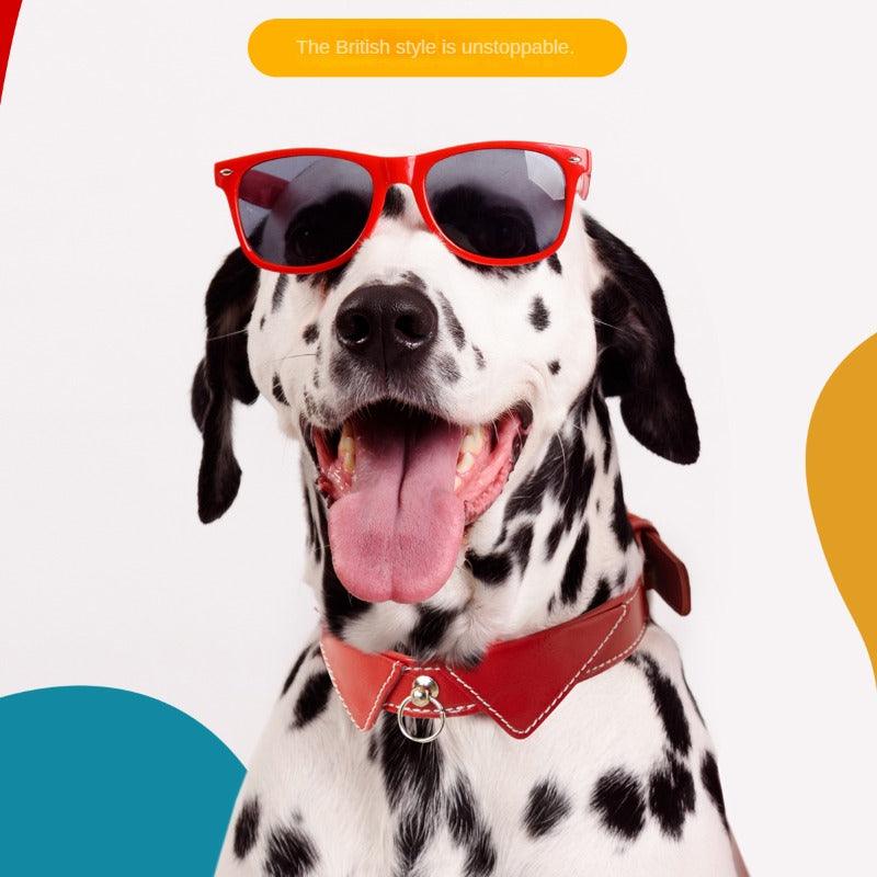 UFHome® Leather Pet Collar - KIKOPALS