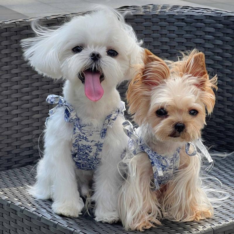 PalettePet® Blue & White Toile Dog Strap Dress - KIKOPALS