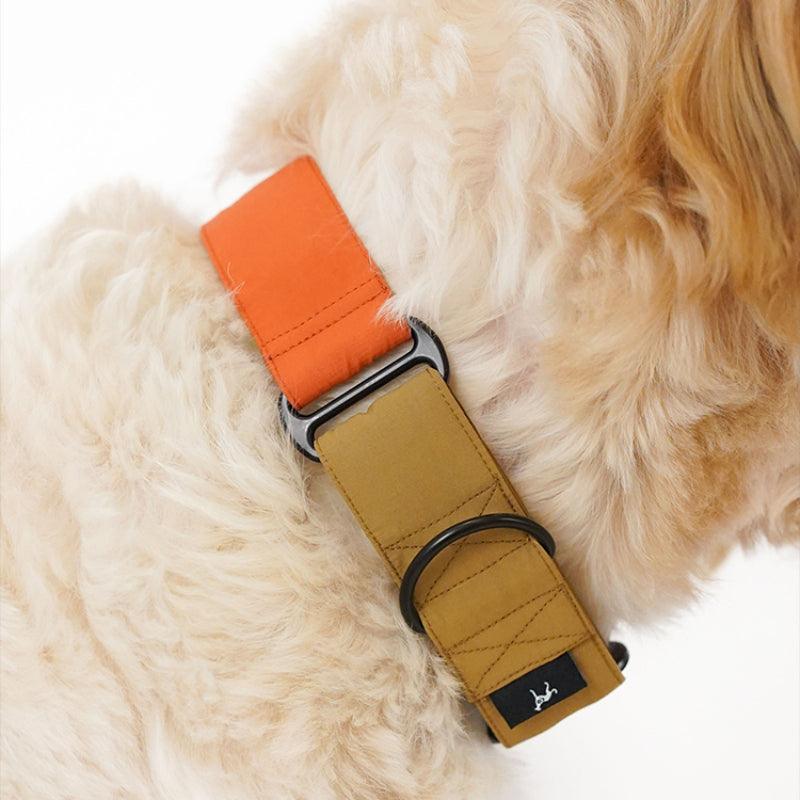 Hound Co.® Martingale Pet Collar - KIKOPALS