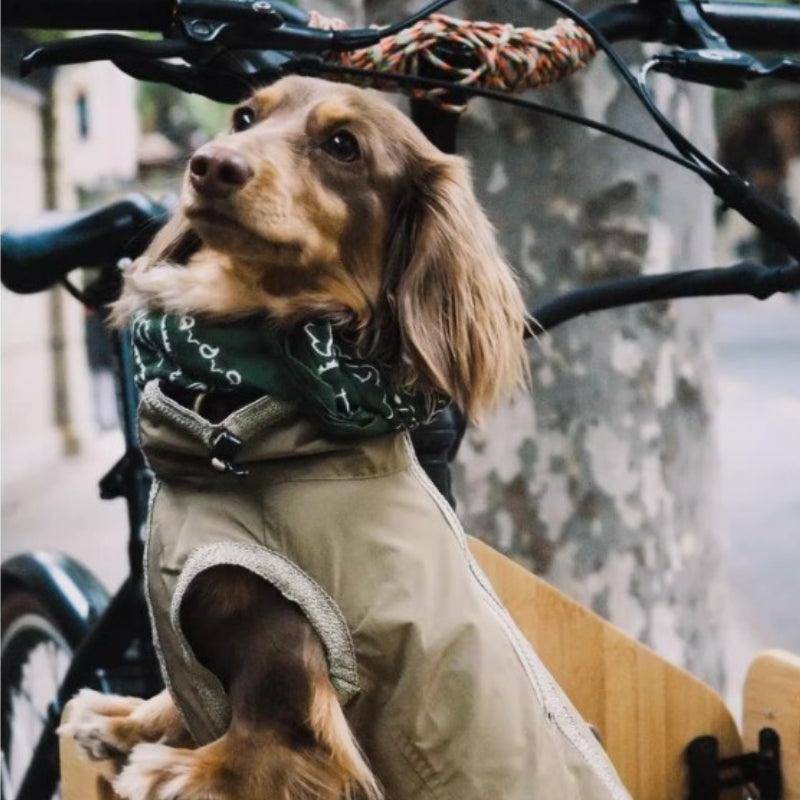 BBPRODUCTION® Cooling Sun Protection Dog Vest - KIKOPALS