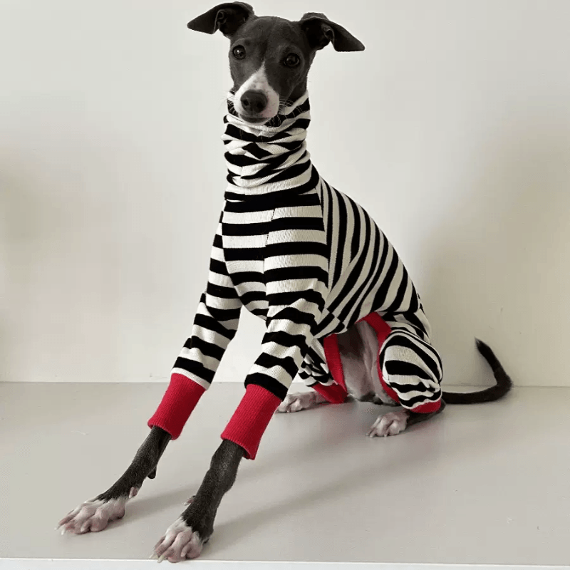 A HUNTING DOG® Striped Dog Jumpsuit - KIKOPALS