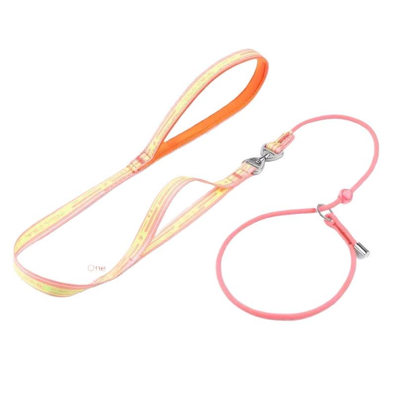 WomirCare® P-chain Dog Leash - KIKOPALS
